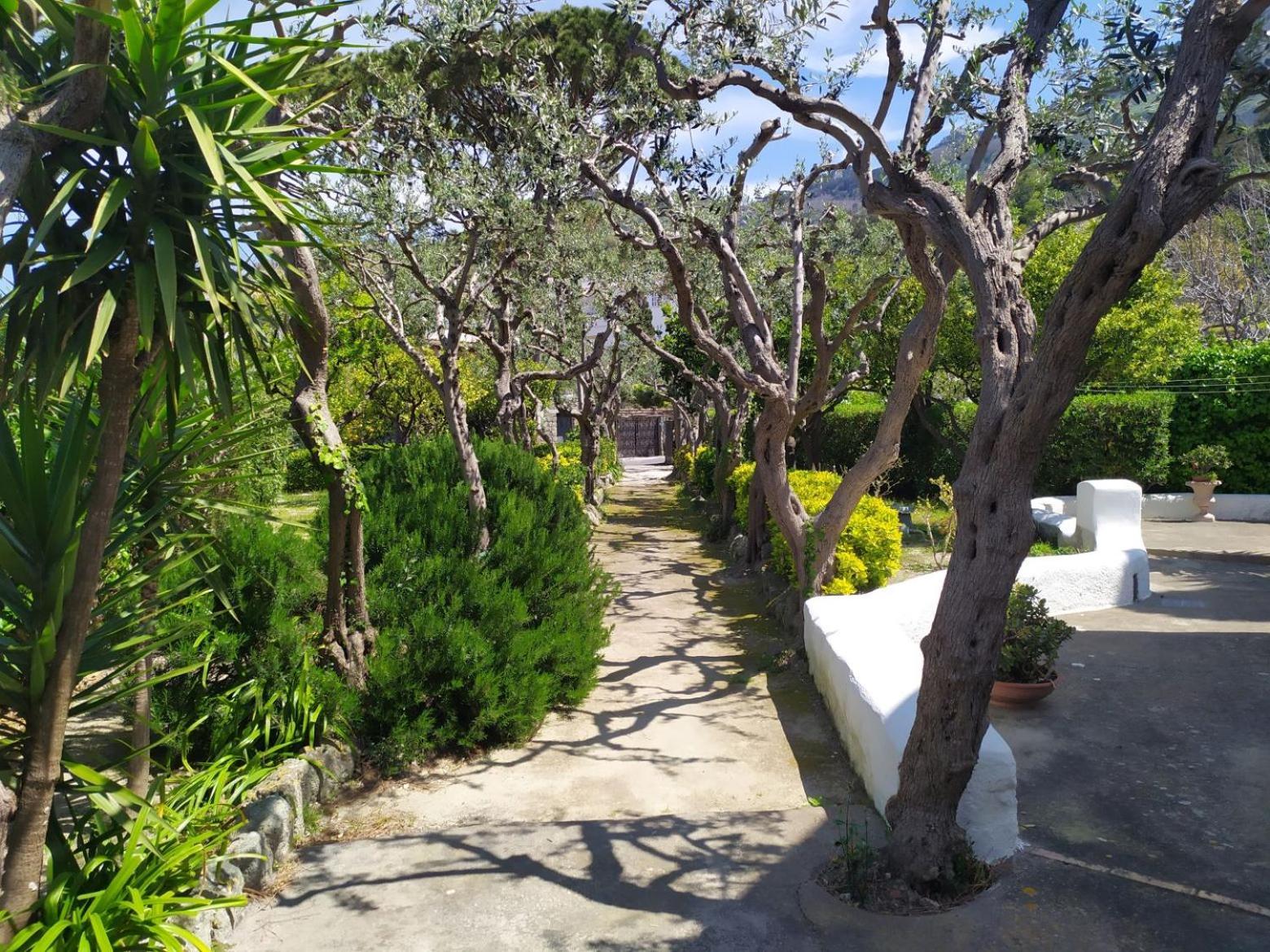 Villa Ravino Secret Retreat Forio di Ischia Exteriör bild