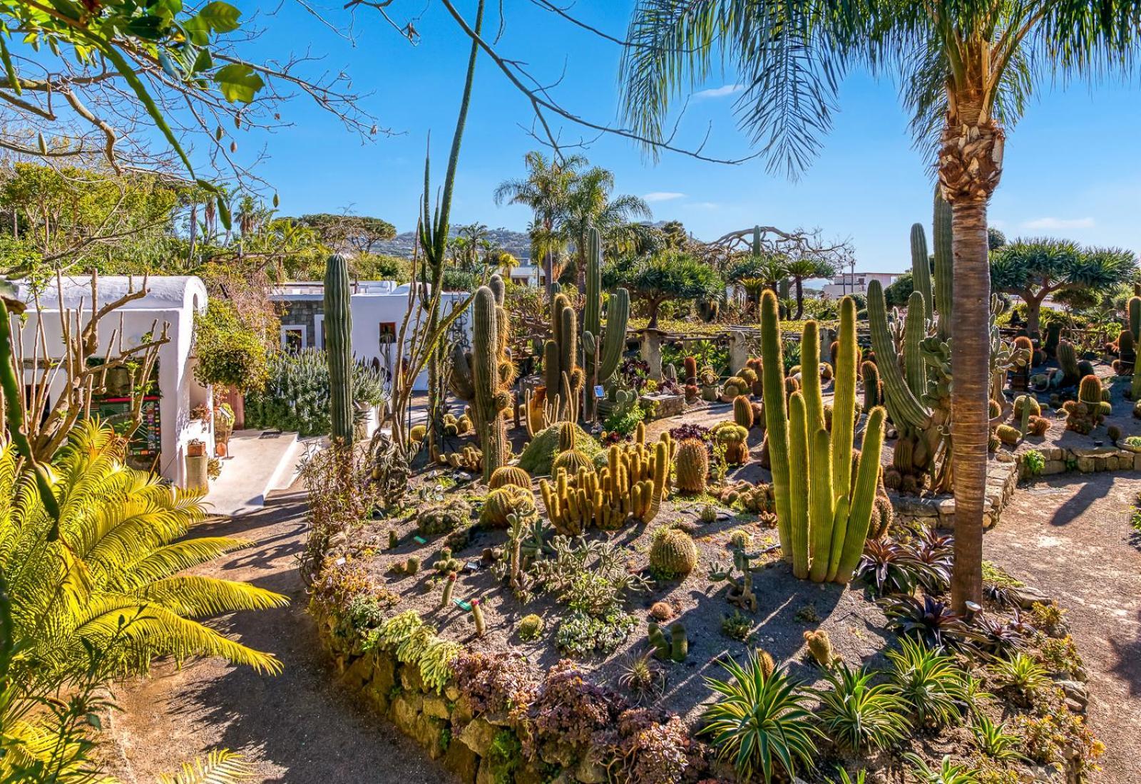 Villa Ravino Secret Retreat Forio di Ischia Exteriör bild
